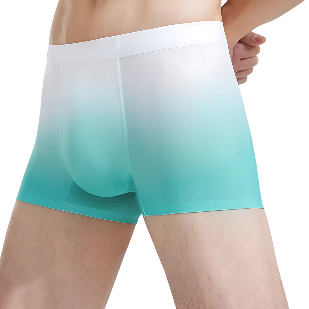 Hardeyy Raw Gradient Commando Underwear